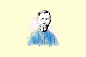 especialización de la administración según Weber