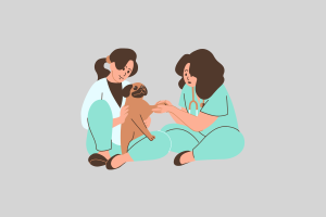 formación veterinaria aplicada