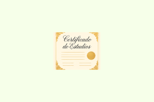 certificado de educación BS