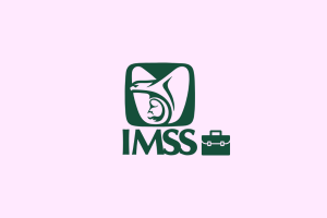 bolsa de trabajo del IMSS sin experiencia
