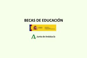 becas para bachiller en andalucia