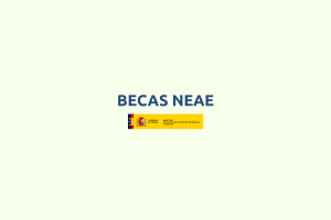 becas NEAE