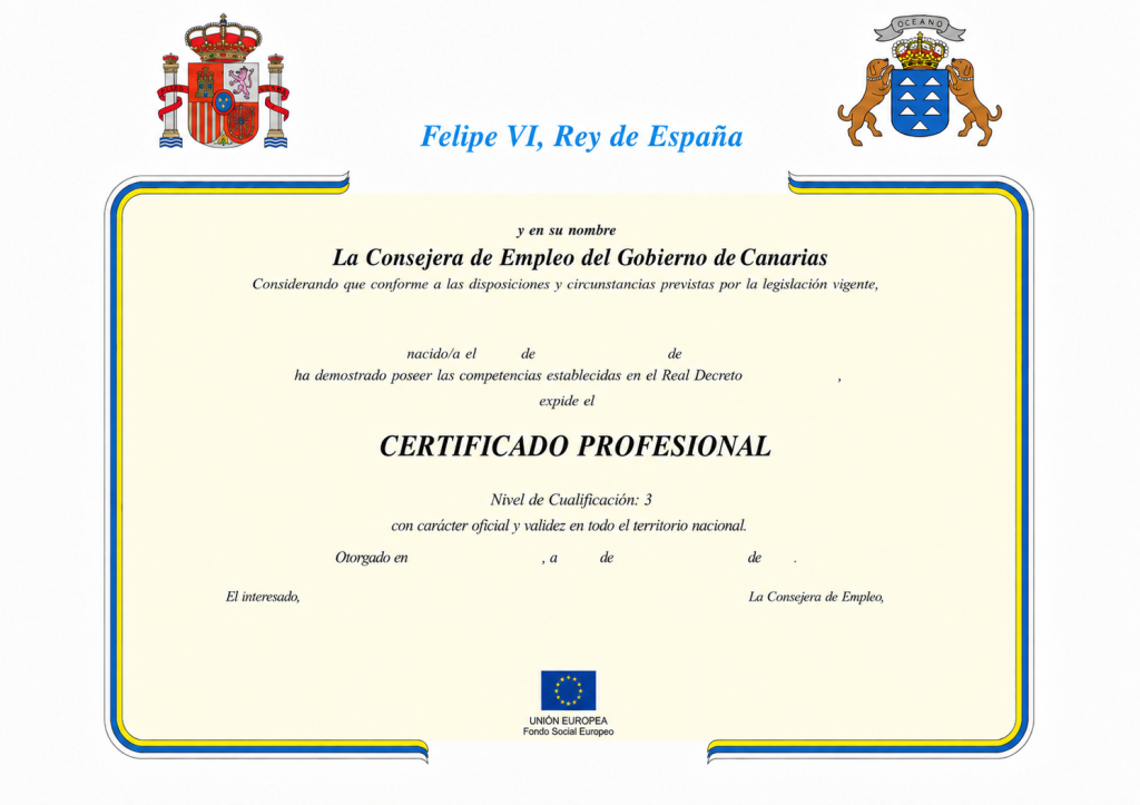 Diploma de Certificado Profesional Nivel 3