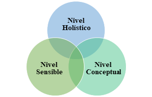 niveles de conocimiento